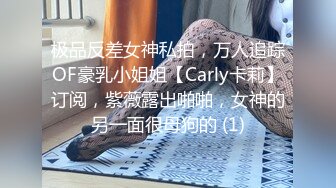 极品反差女神私拍，万人追踪OF豪乳小姐姐【Carly卡莉】订阅，紫薇露出啪啪，女神的另一面很母狗的 (1)