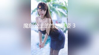 魔劍公主的性感騷姿 3