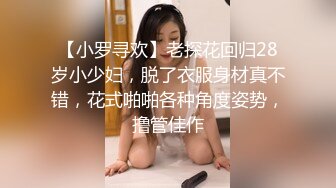 【小罗寻欢】老探花回归28岁小少妇，脱了衣服身材真不错，花式啪啪各种角度姿势，撸管佳作