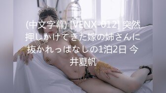 (中文字幕) [VENX-012] 突然押しかけてきた嫁の姉さんに抜かれっぱなしの1泊2日 今井夏帆