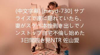 (中文字幕) [meyd-730] サプライズで家に隠れていたら、妻がスケベ本性剥き出しでノンストップ自宅不倫し始めた3日間覗き見NTR 佐山愛