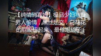 【纯情俏寡妇】极品少妇与野男人偷情，黑丝足交，白花花的屁股扭起来，最佳炮搭子 (3)